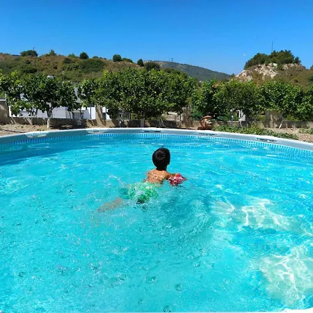 Apartment Garden House