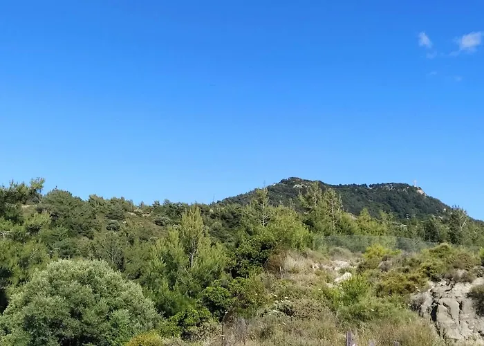 Daire Garden House *